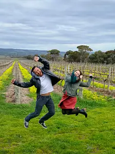 mclaren vale winery tours