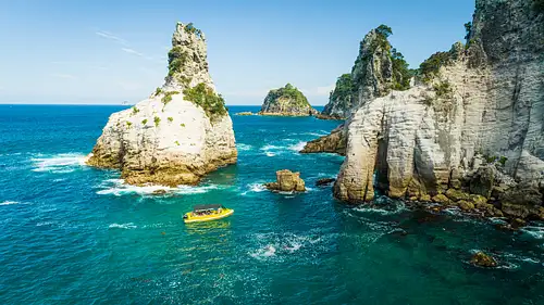 Ocean Leopard Cathedral Cove Highlights Tour