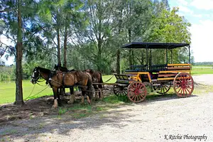 Pokolbin wine tour deals