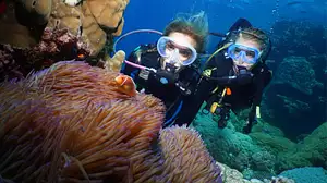 Port Douglas PADI Certification