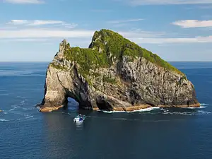 Hole in the Rock New Zealand tour