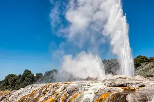 Rotorua Tour incl Te Puia, Concert & Buffet Lunch