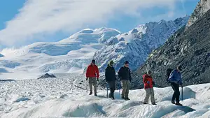 Mt Cook Bus Tour & Heli Hike Combo | From Queenstown